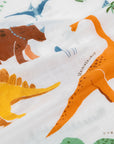Cotton Muslin Pillowcase 2 Pack - Dino Names